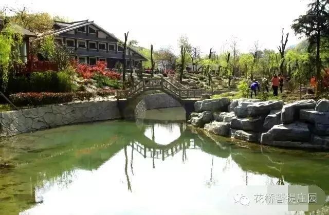 這個周末，隴南康縣花橋有大事要發(fā)生？