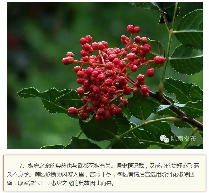 蘭渝鐵路最早由孫中山先生提出？在隴南，你不知道的事兒還有……