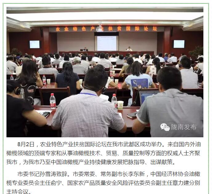 大腕齊聚農(nóng)業(yè)特色產(chǎn)業(yè)扶貧國(guó)際論壇，“把脈”隴南油橄欖發(fā)展