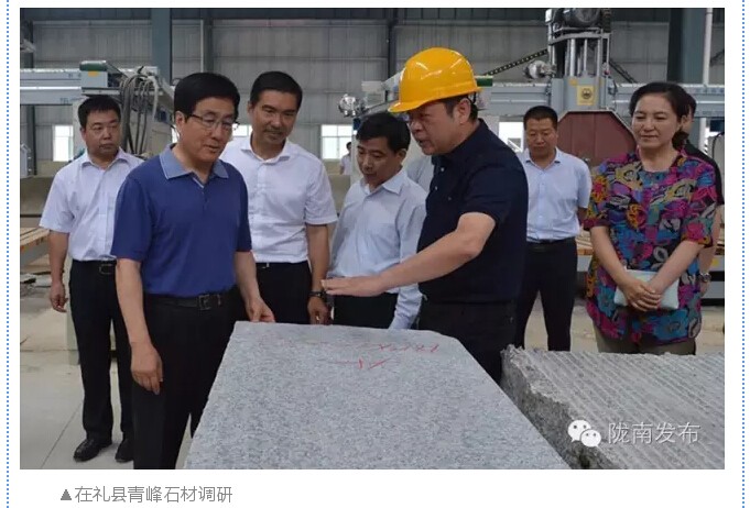 林鐸：貫徹五大理念建設富美隴南 依托資源稟賦壯大縣域經濟