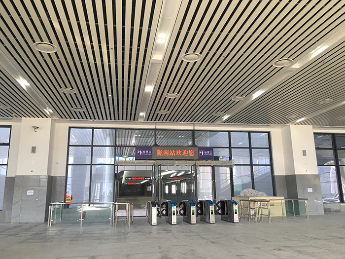 全國、省市政協(xié)委員體驗蘭渝鐵路、視察階州廣場