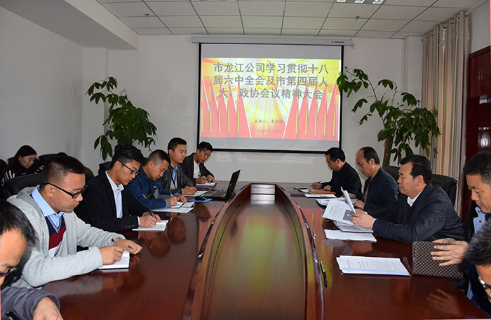 市龍江公司召開(kāi)全體員工大會(huì)，專(zhuān)題傳達(dá)學(xué)習(xí)上級(jí)會(huì)議精神