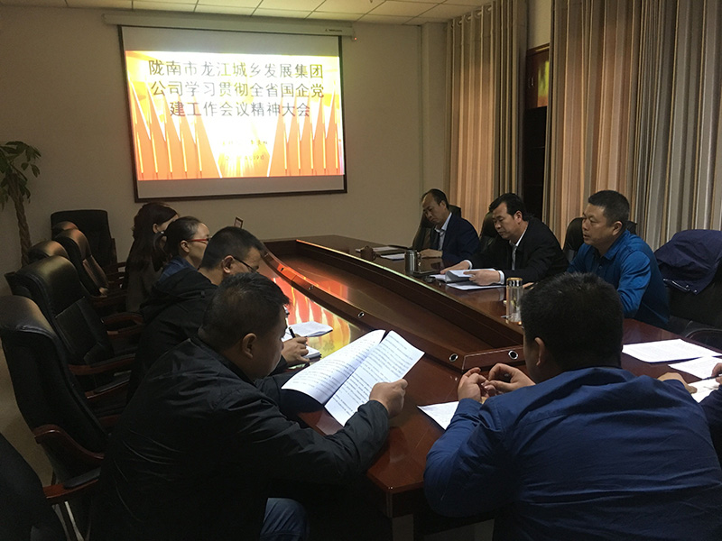 市龍江城鄉(xiāng)發(fā)展集團公司召開全省 國有企業(yè)黨的建設(shè)工作會議精神學(xué)習會議