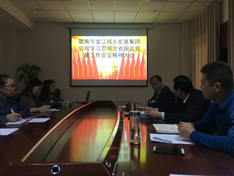市龍江城鄉(xiāng)發(fā)展集團公司召開全省 國有企業(yè)黨的建設(shè)工作會議精神學(xué)習會議