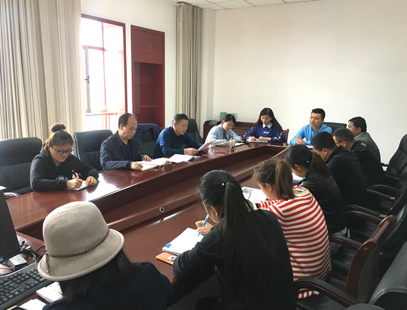 市龍江城鄉(xiāng)發(fā)展集團(tuán)專題學(xué)習(xí)近期中央、省、市紀(jì)律檢查委員會議精神