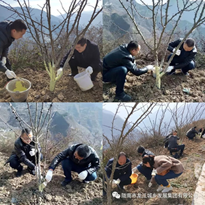 市龍江集團(tuán)在文縣橋頭鎮(zhèn)安子坡村開展“解難題、辦實(shí)事、送溫暖”活動(dòng)