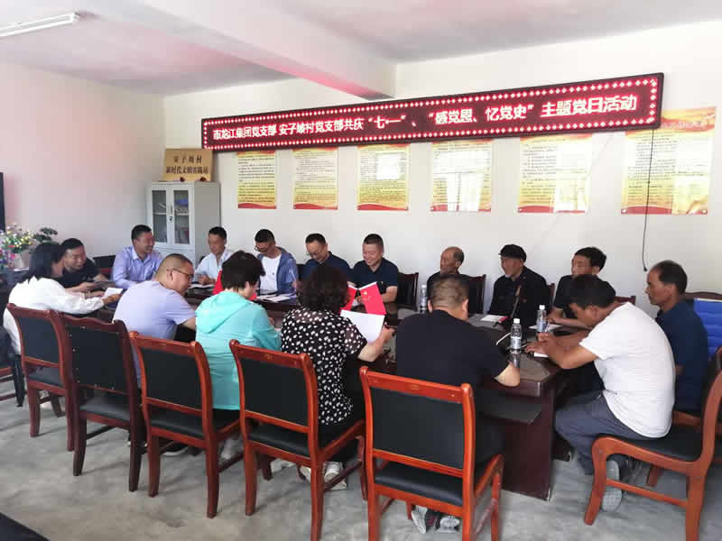 “感黨恩、憶黨史”，--市龍江城鄉(xiāng)發(fā)展集團(tuán)公司開(kāi)展慶祝建黨99周年主題黨日活動(dòng)