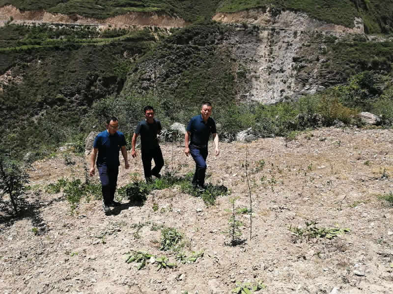 “感黨恩、憶黨史”，--市龍江城鄉(xiāng)發(fā)展集團(tuán)公司開(kāi)展慶祝建黨99周年主題黨日活動(dòng)